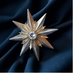 Women's Metallic Star Brooch