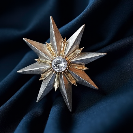Women's Metallic Star Brooch