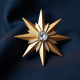 Women's Metallic Star Brooch