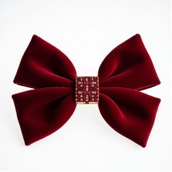 Women's Crystal Hair Bow