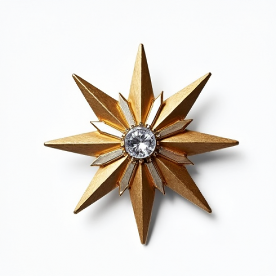 Women's Metallic Star Brooch