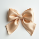 Women's Wide Satin Hair Bow