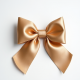 Women's Oversized Satin Bow